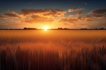 Fototapeta na wymiar Beautiful summer sunrise over wheat fields. Generative AI