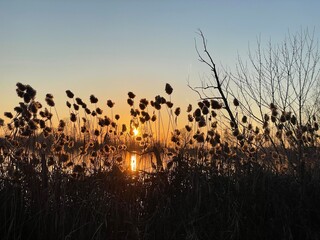 Tramonto sul lago di Basiglio - Milano