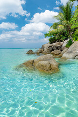 Tropical beach with palm trees