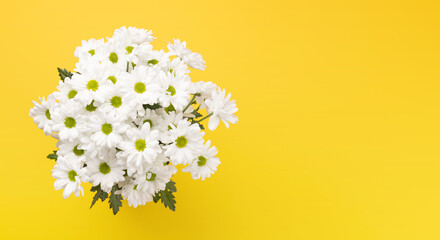 White daisy flowers bouquet