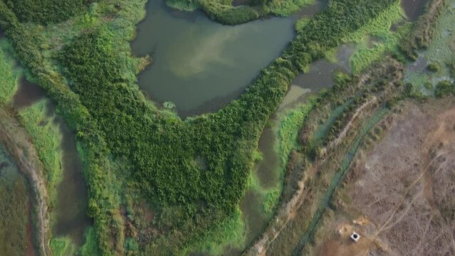 natural waterbody in the farm