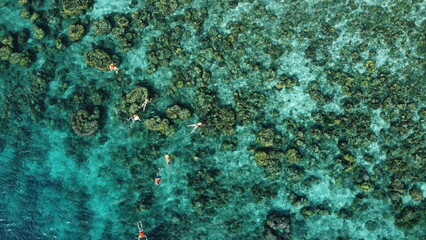 Coron Aerial Drone shot - Coral garden