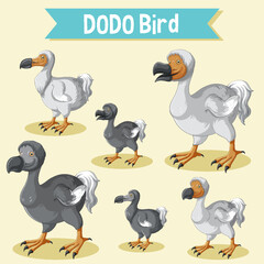 Set of dodo bird cartoon sticker