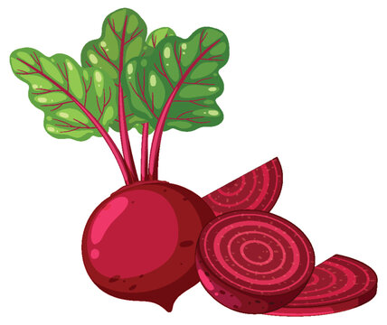 Isolated vegetable beetroot cartoon