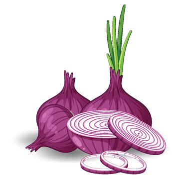 Isolated red onion cartoon