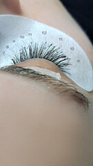 close up of eye with eyelash extensions in beauty salon macro eye top view