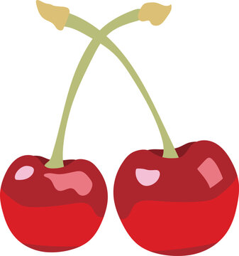 Red cherries vector image or clipart.