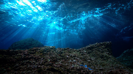 Artistic underwater photo of magic landscape in rays of sunlight.