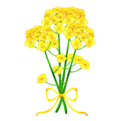 菜の花の花束。水彩風イラスト。