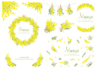 水彩で描いたミモザの素材セット