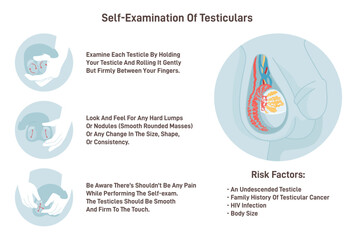 Testicles self exam. Testicle cancer symptoms awareness and monthly - obrazy, fototapety, plakaty