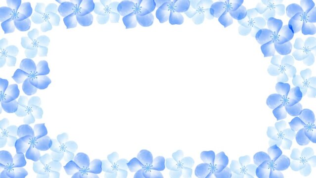 青い花のフラワーフレームのオープニングアニメーション