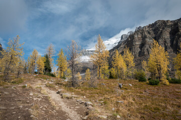 The Valley of Ten Peaks track in autumn, Banff national Park. Canada.