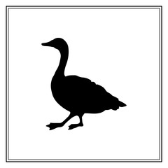 Canada goose. Black silhouette of a bird profile. Vector illustration on a white background.