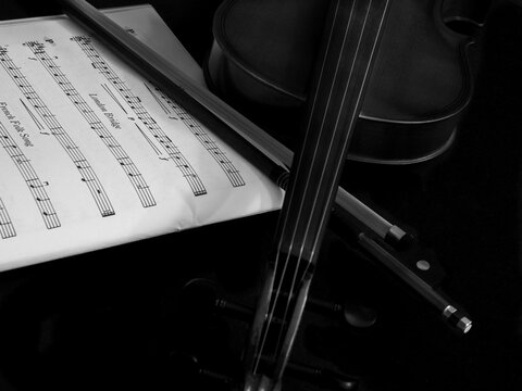 violin and bow on black background, Black & white music 