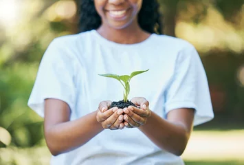Foto op Canvas Black woman hands, plants and growth for earth day, sustainability and gardening, agriculture and farming hope. Green leaf, eco friendly and sustainable person with soil in palm for agro volunteering © Lou W/peopleimages.com