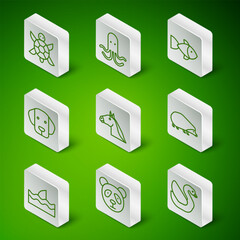 Set line Swan bird, Cute panda face, Turtle, Horse head, Dog, Octopus, Shark fin in ocean wave and Hedgehog icon. Vector © Vadim
