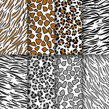 Tiger, zebra, giraffe and leopard print skin vector illustration design.