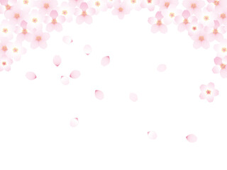 桜のイラストイメージ