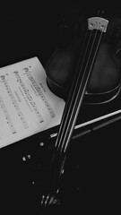 Fototapeta premium Learning the violin with book & bow