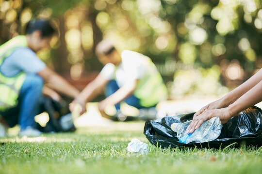 Volunteer Hands, Plastic And Pollution While Cleaning Park For Community Service For Environment And Recycling. People Group Helping With Bottle And Trash Bag Outdoor On Grass For Ngo Clean Project