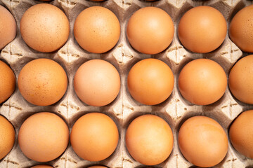 Dozen chicken  eggs in carton box on white background, Eggs in cardboard box on White background.