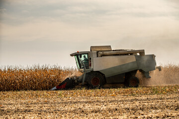 Obraz premium Agricultural efficiency displayed in corn maize field, farmer operates high-tech harvester