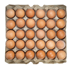 Dozen chicken  eggs in carton box on white background, Eggs in cardboard box on White PNG File.