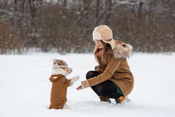 A girl in a brown hat with earflaps and a dog on the background of trees in the park. Portrait of a...