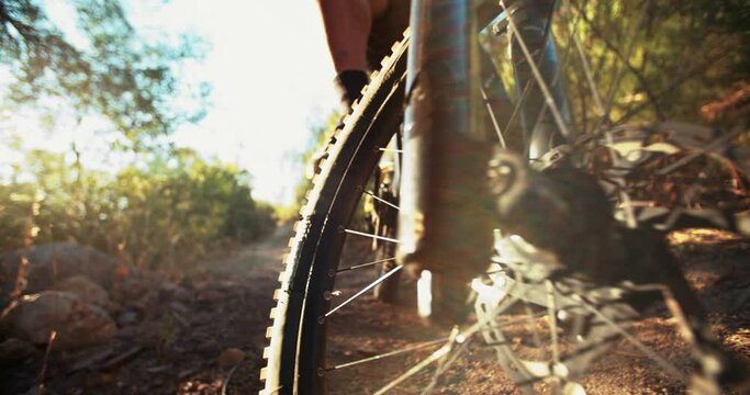 Cropped Shot Of The Tire Of A Mountain Bike On A Dirt Path Showing Good Tread Outdoors