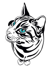 Duży biało-czarny pręgowany domowy kot z niebieskimi oczami. Rysunek wektorowy, tatuaż, ilustracja, kotek