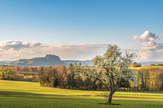 Hegau landscape with view to the Hohentwiel near Singen am Hohentwiel, Konstanz district, Baden-Wuerttemberg, Germany