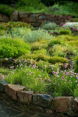 summer garden with nice flowers