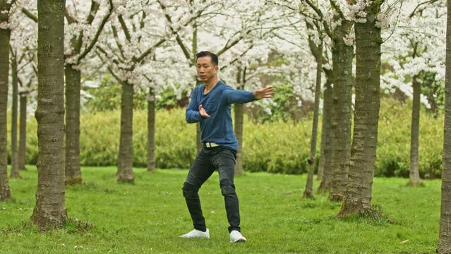 Kung-fu fighter practicing in cherry orchard.