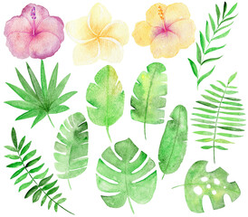 Set of watercolor tropical flowers, leaves. Botanic illustration isolated on white background.