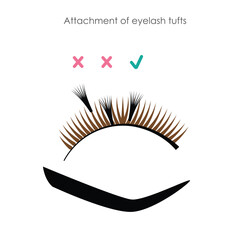 Obraz premium attaching lash tufts to natural lashes, lash extension tutorial