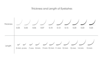 length and thickness of eyelash extensions, vector realistic