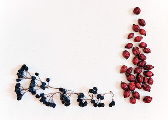Dried red rose hips (berry, fruit) and aronia (black chokeberry)