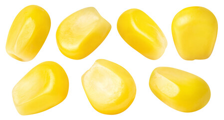 Collection of delicious corn seeds cut out