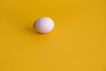One white egg on a yellow background. Creative minimal concept. place for text