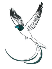 Silhouette of a white flying tropical bird with long feathers and azure beak. A traditional pattern for a fresh fashionable decor for Mother's Day. Cute cartoon image of the symbol of love and spring.