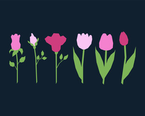 Flower set, pink roses and tulips, with green leaves. Simple, vector illustration.