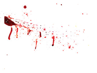 Vector of blood splatter stain overlay isolated on white background.
