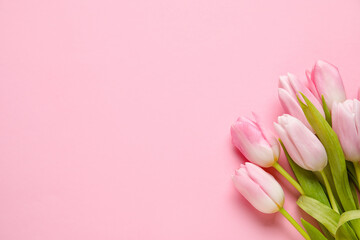 Bouquet of beautiful tulip flowers on pink background - obrazy, fototapety, plakaty