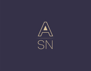 ASN letter logo design modern minimalist vector images