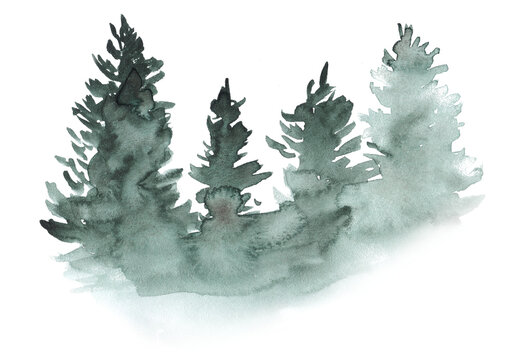 Watercolor abstract woodland, fir trees silhouette with ashes and splashes, winter background hand drawn illustration