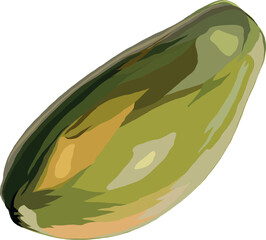 Isolated papaya on white background. Half an orange papaya. Ripe green papaya. Vector illustration.  Print, banner, sticker, logo.