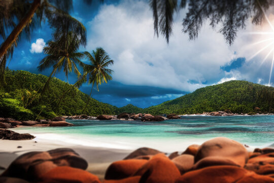 survivor on the beach with trees