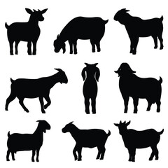 Set of vector silhouettes of goats isolated on white background. 