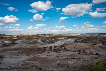 Desert landscape of Petrified Forest National Park with prehistoric petrified logs